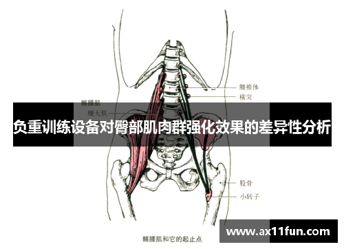 负重训练设备对臀部肌肉群强化效果的差异性分析